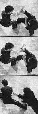 Fu Hok Deui Chaak 2.jpg